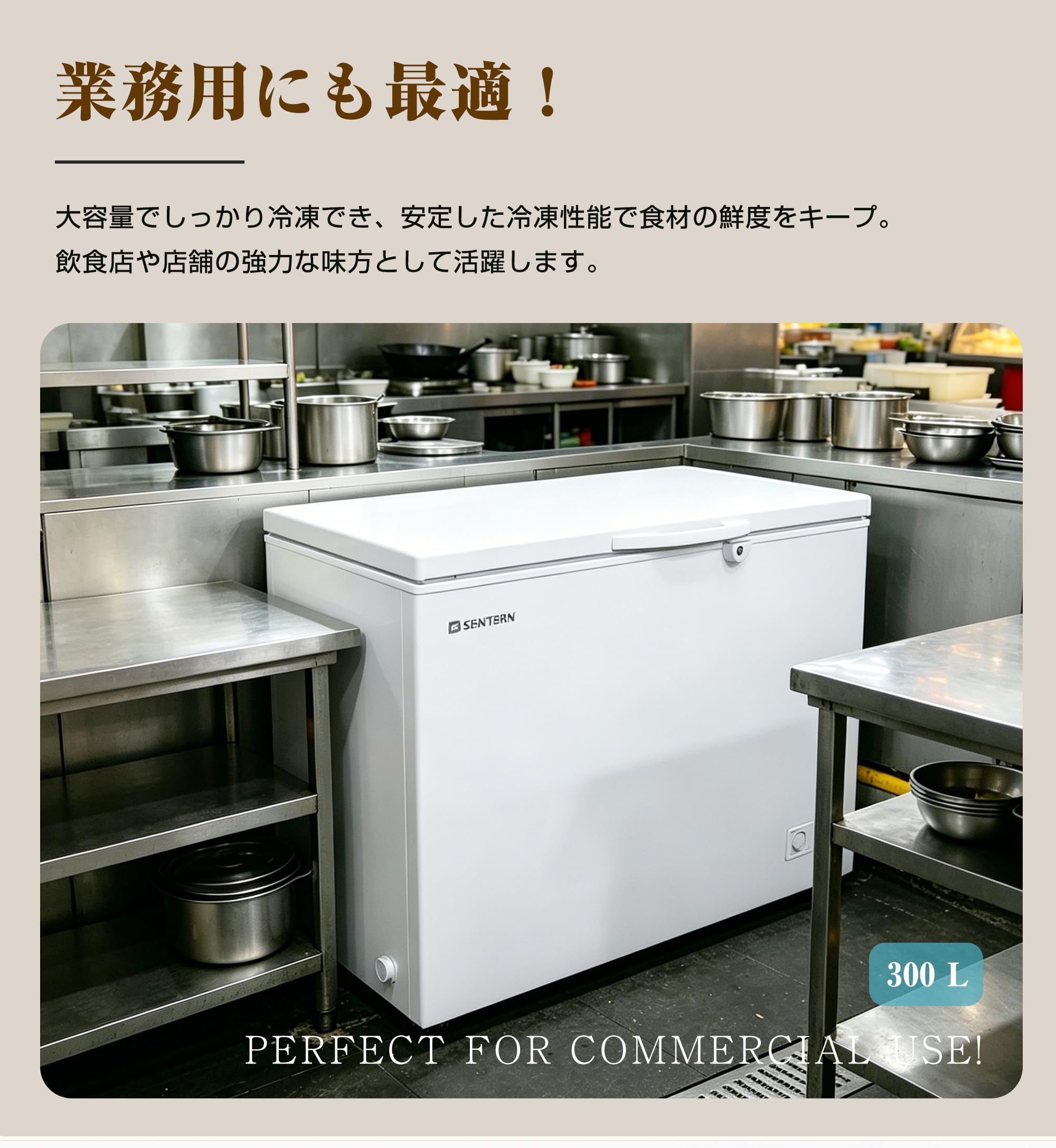 Amazon.co.jp: 冷凍庫 250L 300L 大容量 業務用 家庭用 鍵付き